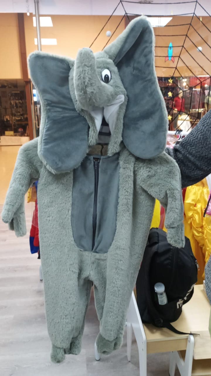 Elefante